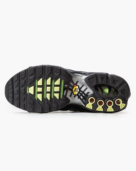 Кросівки Nike Air Max TN Plus Black Silver Green 09118 фото