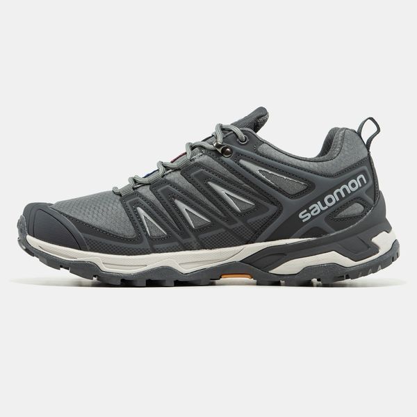 Кросівки Salomon Speed Cross Pro Gore-Tex Thinsulate Grey 22040-43 фото